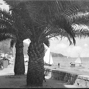 ab7231 -  CARTOLINA  D'EPOCA - Savona Provincia - ALASSIO