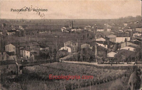 ad7333 - CARTOLINA D'EPOCA - Pisa Provincia - Vecchiano  1916