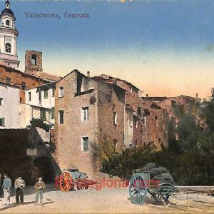 ad7334 - CARTOLINA D'EPOCA - Pisa Provincia - Vallebuona