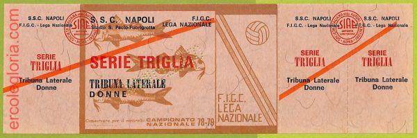 ZA1110 - Vecchio  BIGLIETTO PARTITA  CALCIO -  1978/1979: Napoli