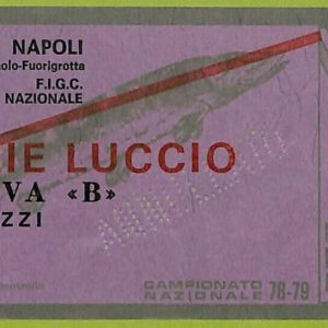 ZA1138 - Vecchio  BIGLIETTO PARTITA  CALCIO -  1978/1979: Napoli