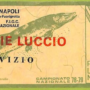 ZA1141 - Vecchio  BIGLIETTO PARTITA  CALCIO -  1978/1979: Napoli