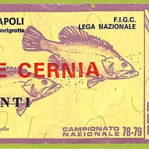 ZA1143 - Vecchio  BIGLIETTO PARTITA  CALCIO -  1978/1979: Napoli