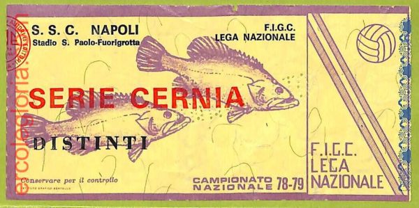ZA1143 - Vecchio  BIGLIETTO PARTITA  CALCIO -  1978/1979: Napoli