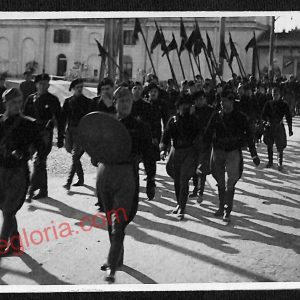 ag1724 - CARTOLINA D'EPOCA - Gorizia Città