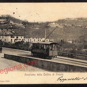 ae7310 - CARTOLINA D'EPOCA - Firenze Città - Panorama  1901