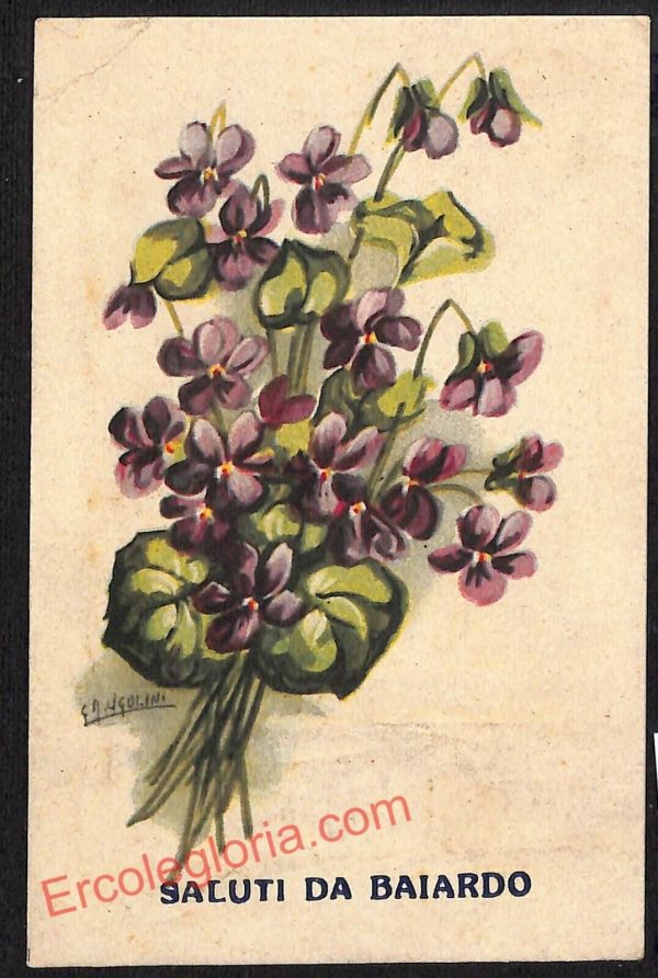 ag4614 - CARTOLINA D'EPOCA - Imperia Provincia - Baiardo