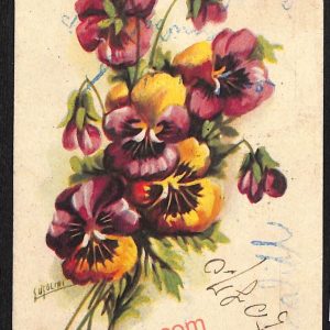 ag4615 - CARTOLINA D'EPOCA - Imperia Provincia - Baiardo