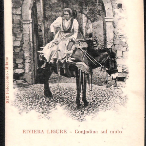 ab7712 -  CARTOLINA  D'EPOCA - Savona Provincia - RIVIERA LIGURE