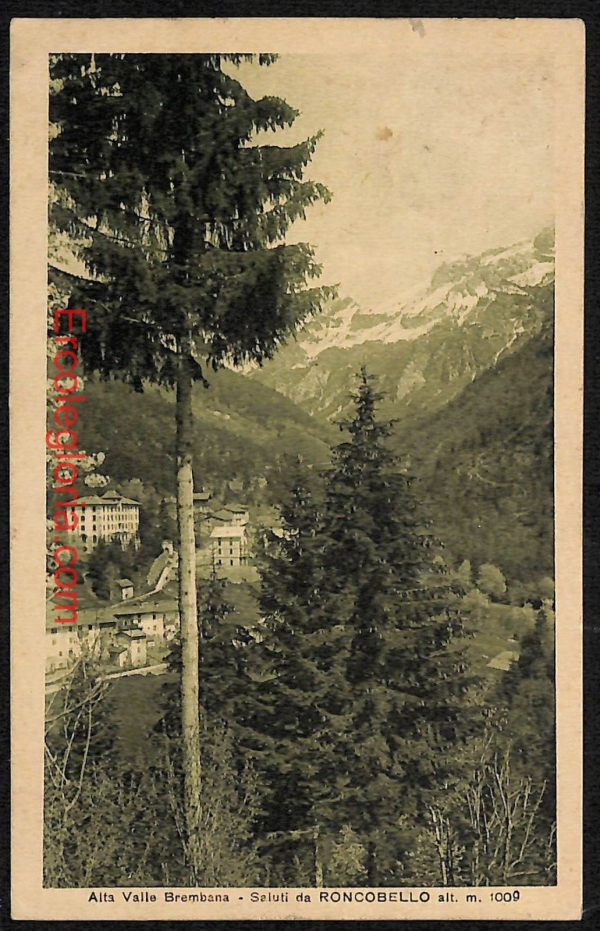 ae1627 - CARTOLINA  D'EPOCA - Bergamo  Provincia - Roncobello  1930