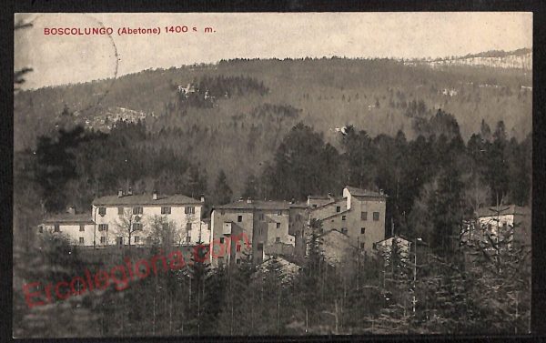 ae7470 - CARTOLINA D'EPOCA - Firenze Provincia - Boscolungo  1915
