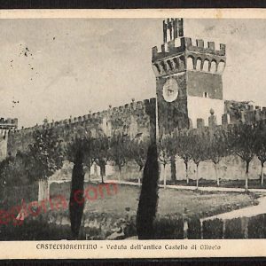 ae7474 - CARTOLINA D'EPOCA - Firenze Provincia - Castelfiorentino