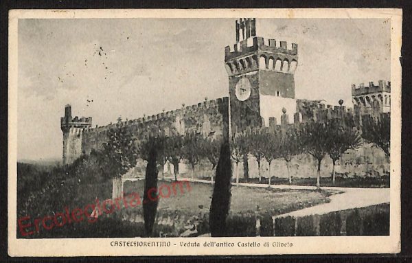 ae7474 - CARTOLINA D'EPOCA - Firenze Provincia - Castelfiorentino