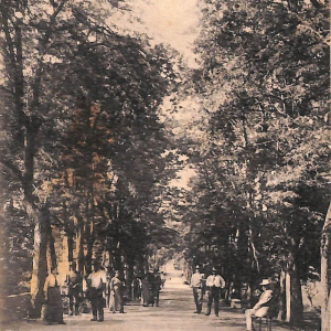 ab7745 -  CARTOLINA  D'EPOCA - Savona Provincia - SASSELLO