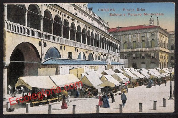 ah4263 - CARTOLINA D'EPOCA - Padova Città - Piazza Erbe
