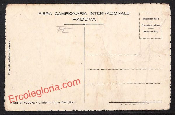 ah4265 - CARTOLINA D'EPOCA - Padova Città - Fiera Campionaria di Padova - immagine 2