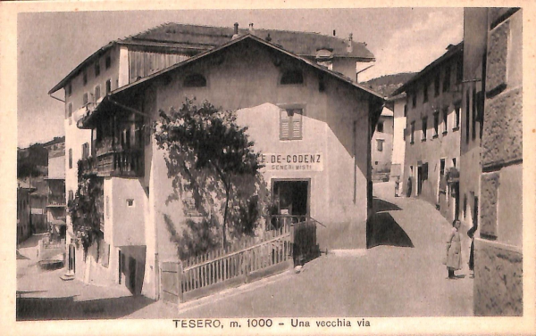 ab5985 - CARTOLINA  D'EPOCA - Trento Provincia : TESERO