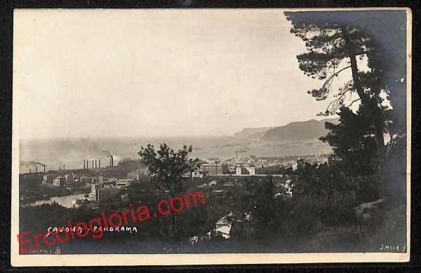 ai4991 - CARTOLINA D'EPOCA - Savona Città - Panorama