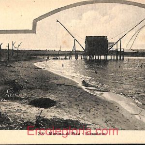 ad6961 - CARTOLINA D'EPOCA - Pisa Provincia - Marina di Pisa