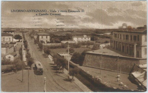 73428  - CARTOLINA d'Epoca: LIVORNO Città -  Viale VITTORIO EMANUELE 1935