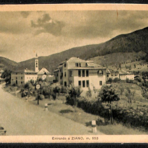 ab6030 - CARTOLINA  D'EPOCA - Trento Provincia : ZIANO
