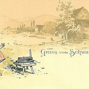 11763 - Ansichtskarten  POSTCARD - Deutschland GERMANY - Gruss Aus SCHWARZWALD