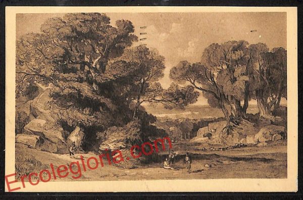 ah9433 - CARTOLINA D'EPOCA - Reggio Calabria Città - Foresta di Pietrapennata