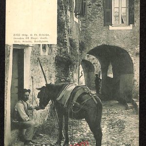 ag4775 - CARTOLINA D'EPOCA - Imperia Provincia - Ponente