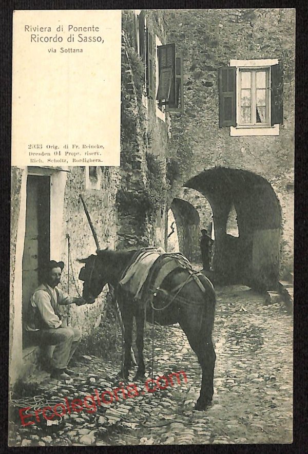 ag4775 - CARTOLINA D'EPOCA - Imperia Provincia - Ponente