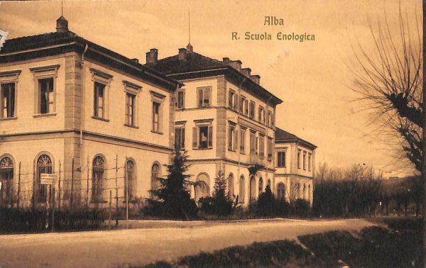 ab4249-  CARTOLINA  D'EPOCA CUNEO Provincia - Alba 1919