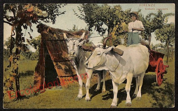 ae6911 - CARTOLINA D'EPOCA - Firenze Città - Costume campestre