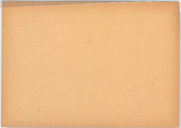 09859 -  HONG KONG - Postal History - Postal Stationery CARD - immagine 2