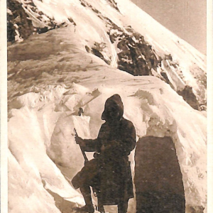 ac6991 - CARTOLINA D'EPOCA - REGGIMENTALI  - Alpini