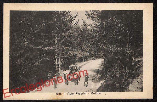 ah9474 - CARTOLINA D'EPOCA - Reggio Calabria Città - Viale Federici