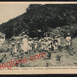 ah9475 - CARTOLINA D'EPOCA - Reggio Calabria Città - S. Stefano in Aspromonte
