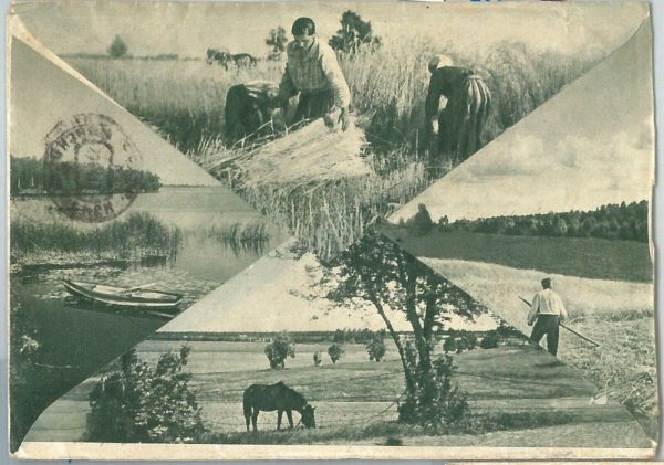 69052 - RUSSIA / LATVIA - POSTAL HISTORY -  ADVERTISING picture  COVER   1957 - immagine 2