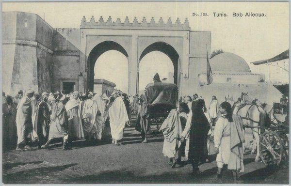 80312  -  TUNISIA  - VINTAGE POSTCARD -  TUNIS