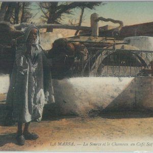 80321  -  TUNISIA  - VINTAGE POSTCARD -   La Marsa