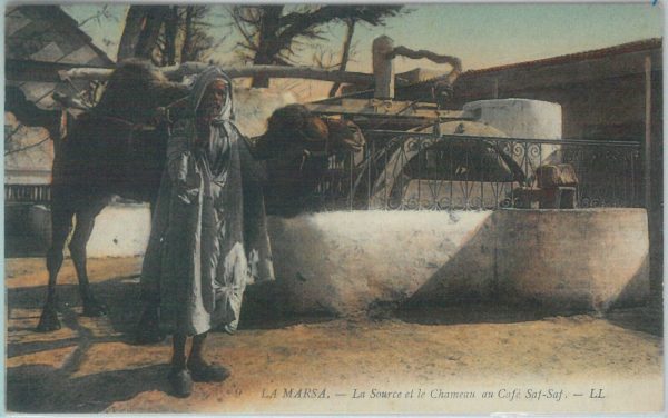 80321  -  TUNISIA  - VINTAGE POSTCARD -   La Marsa