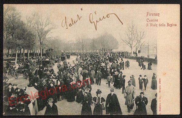 ae6943 - CARTOLINA D'EPOCA - Firenze Città - Il Viale della Regina  1900
