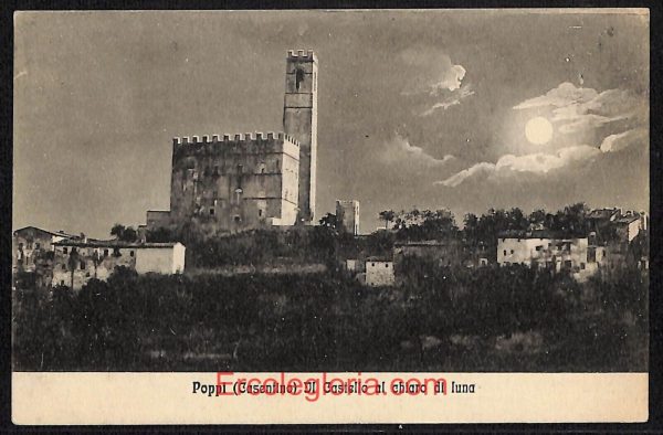 ae0462 - CARTOLINA  D'EPOCA - Arezzo Provincia - Poppi   1931