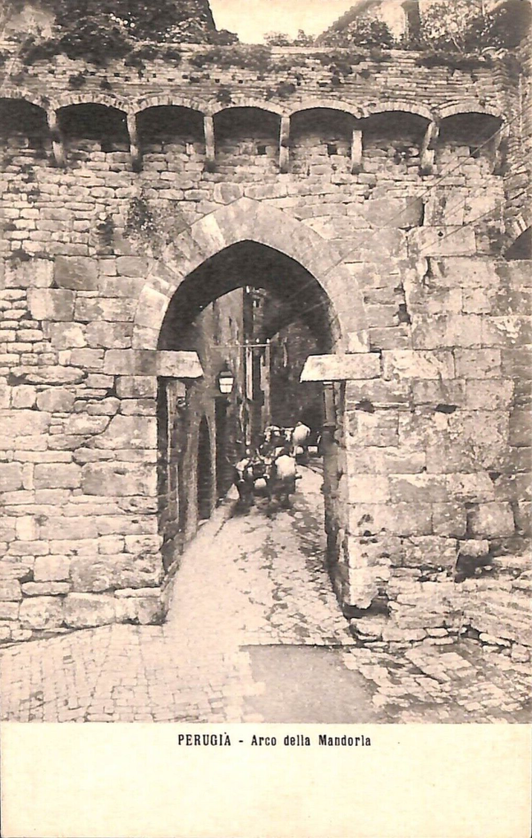 ab8974 - CARTOLINA  D'EPOCA - Perugia Città - Arco della Mandorla