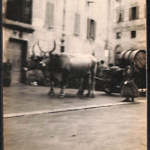 ab8997 - CARTOLINA  D'EPOCA - Perugia Città