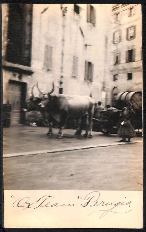 ab8997 - CARTOLINA  D'EPOCA - Perugia Città