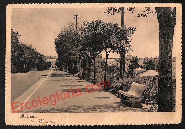 ag7497 - CARTOLINA D'EPOCA - Macerata Città - Panorama