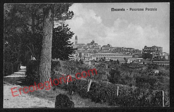 ag7502 - CARTOLINA D'EPOCA - Macerata Città - Panorama