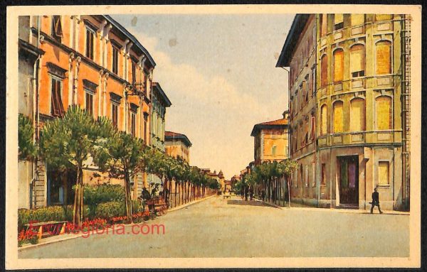ad7065 - CARTOLINA D'EPOCA - Pisa Provincia - Pontedera