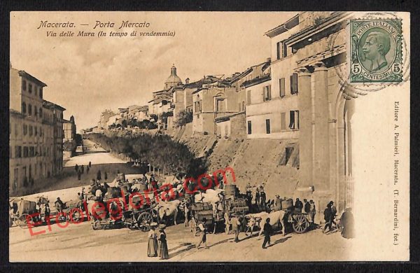 ag7524 - CARTOLINA D'EPOCA - Macerata Città - Porta Mercato