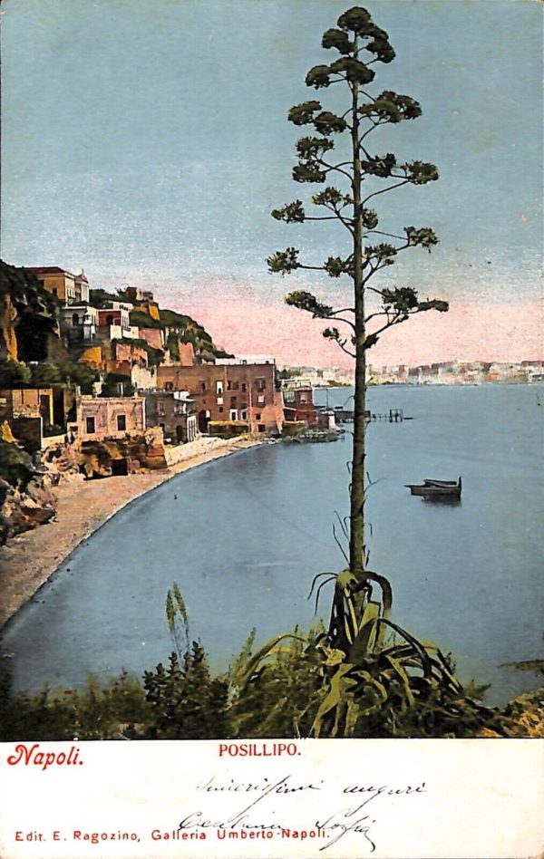 ab7949 - CARTOLINA  D'EPOCA - Napoli Città -  1904
