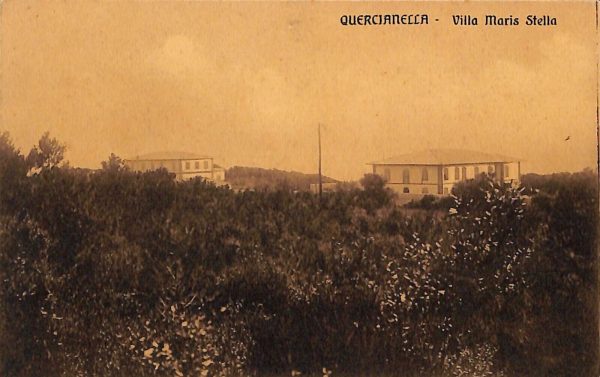 ac8198 - CARTOLINA D'EPOCA - Livorno Provincia - Quercianella